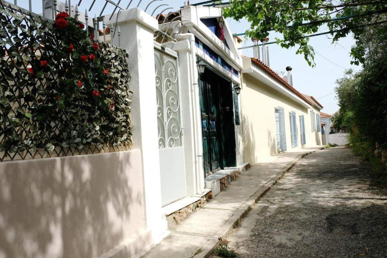 Apartament George