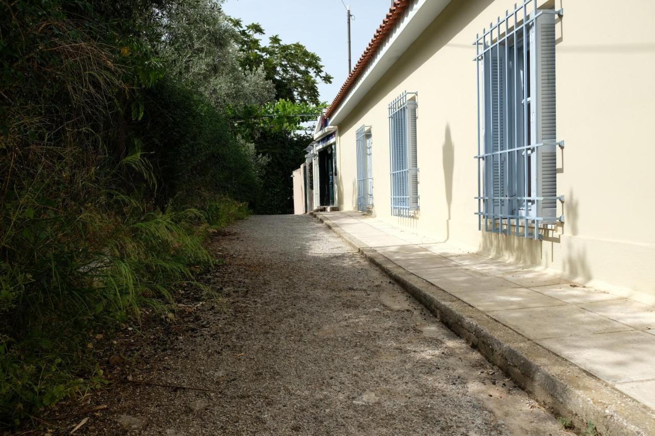 George Apartament